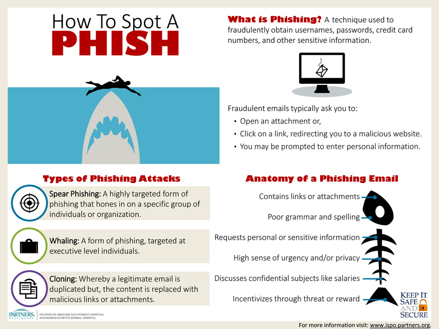 phishing email infographic